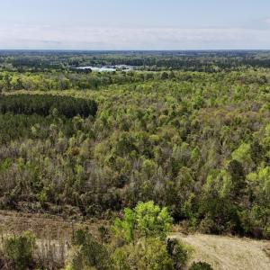 Photo #19 of Off Saxon Avenue, Lumberton, NC 76.7 acres