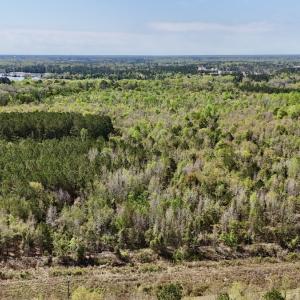 Photo #20 of Off Saxon Avenue, Lumberton, NC 76.7 acres
