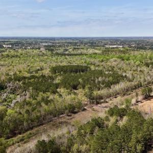 Photo #2 of Off Saxon Avenue, Lumberton, NC 76.7 acres