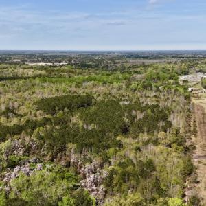 Photo #3 of Off Saxon Avenue, Lumberton, NC 76.7 acres