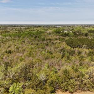 Photo #5 of Off Saxon Avenue, Lumberton, NC 76.7 acres
