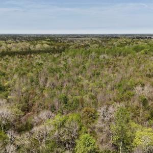 Photo #6 of Off Saxon Avenue, Lumberton, NC 76.7 acres