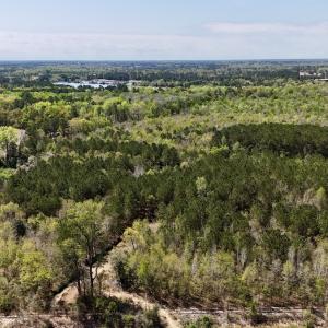 Photo #22 of Off Saxon Avenue, Lumberton, NC 76.7 acres