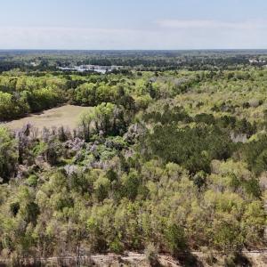 Photo #23 of Off Saxon Avenue, Lumberton, NC 76.7 acres