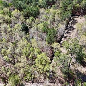 Photo #25 of Off Saxon Avenue, Lumberton, NC 76.7 acres