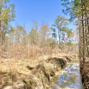 Photo #37 of Off Saxon Avenue, Lumberton, NC 76.7 acres