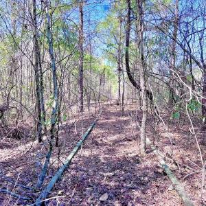 Photo #31 of Off Saxon Avenue, Lumberton, NC 76.7 acres