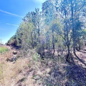 Photo #32 of Off Saxon Avenue, Lumberton, NC 76.7 acres