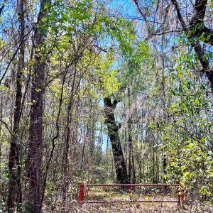 Photo #33 of Off Saxon Avenue, Lumberton, NC 76.7 acres