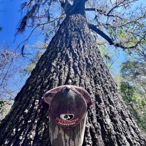 Photo #34 of Off Saxon Avenue, Lumberton, NC 76.7 acres