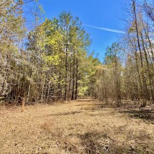 Photo #39 of Off Saxon Avenue, Lumberton, NC 76.7 acres