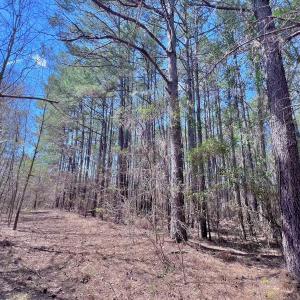 Photo #40 of Off Saxon Avenue, Lumberton, NC 76.7 acres