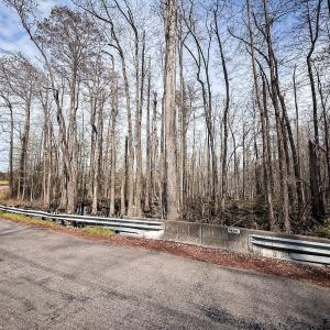 Photo #10 of Off Berlin Dory Rd., Sedley, VA 4.2 acres