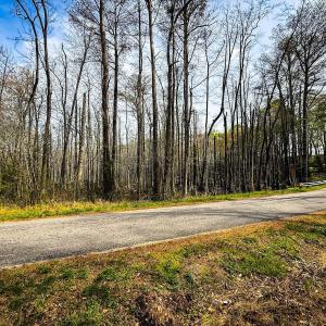 Photo #11 of Off Berlin Dory Rd., Sedley, VA 4.2 acres