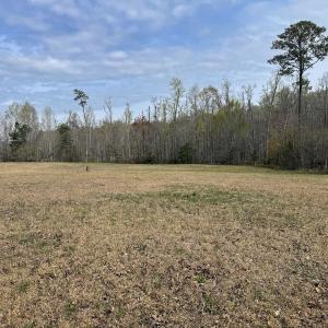 Photo #13 of Off Berlin Dory Rd., Sedley, VA 4.2 acres