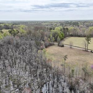 Photo #3 of Off Berlin Dory Rd., Sedley, VA 4.2 acres