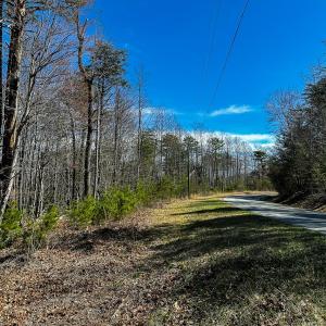 Photo #10 of Off Pole Bridge Road, Stuart , VA 41.2 acres