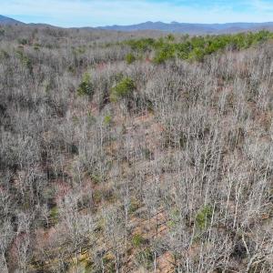 Photo #12 of Off Pole Bridge Road, Stuart , VA 41.2 acres