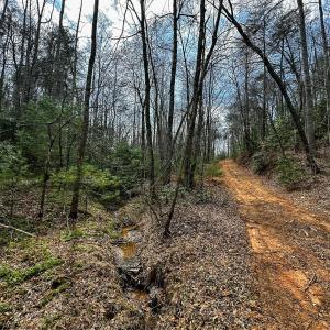 Photo #13 of Off Pole Bridge Road, Stuart , VA 41.2 acres
