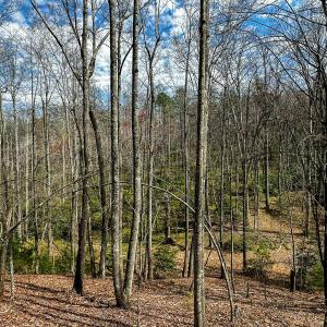 Photo #14 of Off Pole Bridge Road, Stuart , VA 41.2 acres