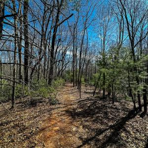 Photo #15 of Off Pole Bridge Road, Stuart , VA 41.2 acres