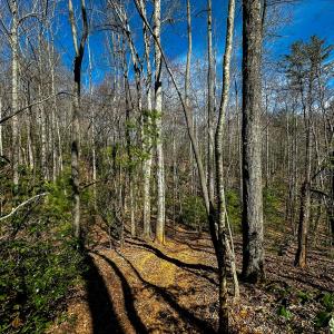 Photo #18 of Off Pole Bridge Road, Stuart , VA 41.2 acres