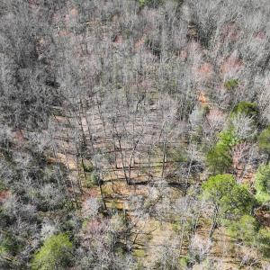 Photo #19 of Off Pole Bridge Road, Stuart , VA 41.2 acres