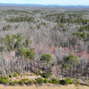 Photo #1 of Off Pole Bridge Road, Stuart , VA 41.2 acres