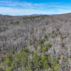 Photo #2 of Off Pole Bridge Road, Stuart , VA 41.2 acres