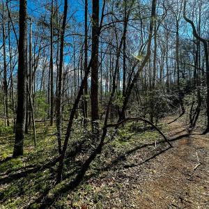 Photo #21 of Off Pole Bridge Road, Stuart , VA 41.2 acres