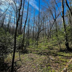 Photo #22 of Off Pole Bridge Road, Stuart , VA 41.2 acres