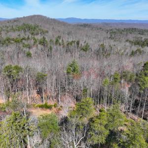 Photo #23 of Off Pole Bridge Road, Stuart , VA 41.2 acres