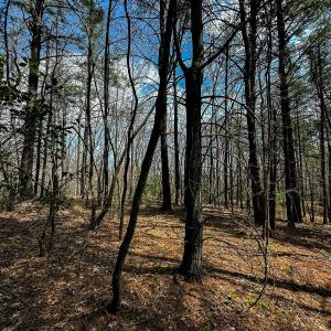 Photo #25 of Off Pole Bridge Road, Stuart , VA 41.2 acres
