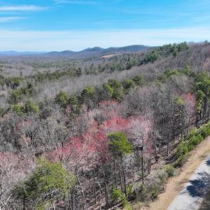 Photo #26 of Off Pole Bridge Road, Stuart , VA 41.2 acres