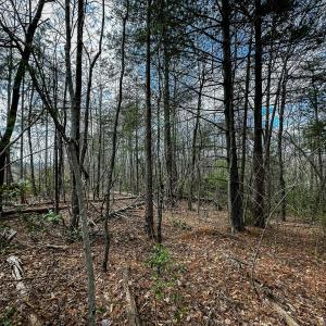 Photo #27 of Off Pole Bridge Road, Stuart , VA 41.2 acres