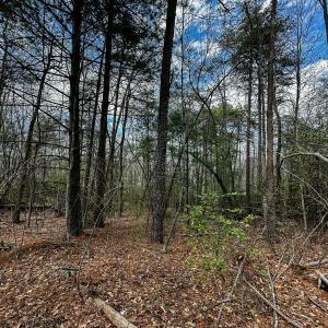 Photo #28 of Off Pole Bridge Road, Stuart , VA 41.2 acres
