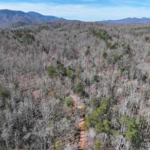 Photo #3 of Off Pole Bridge Road, Stuart , VA 41.2 acres