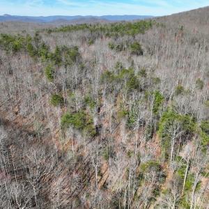Photo #30 of Off Pole Bridge Road, Stuart , VA 41.2 acres