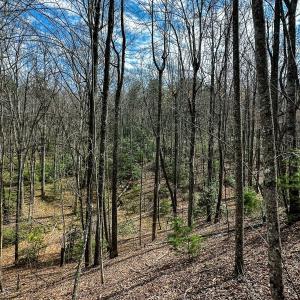 Photo #31 of Off Pole Bridge Road, Stuart , VA 41.2 acres