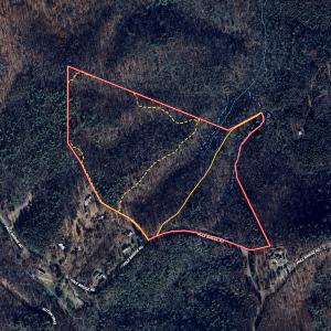 Photo #36 of Off Pole Bridge Road, Stuart , VA 41.2 acres