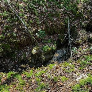 Photo #5 of Off Pole Bridge Road, Stuart , VA 41.2 acres