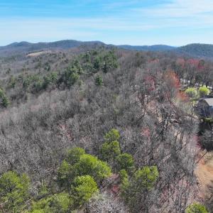 Photo #7 of Off Pole Bridge Road, Stuart , VA 41.2 acres