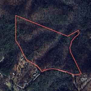 Photo #41 of Off Pole Bridge Road, Stuart , VA 41.2 acres