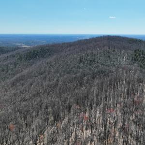 Photo #10 of Off of Blueberry Lane, Stuart, VA 48.1 acres