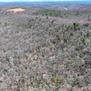 Photo #14 of Off of Blueberry Lane, Stuart, VA 48.1 acres