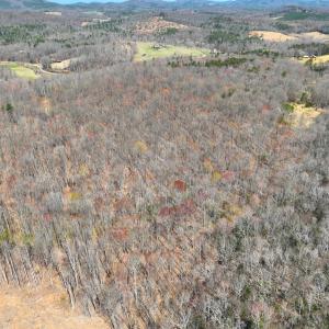Photo #17 of Off of Blueberry Lane, Stuart, VA 48.1 acres
