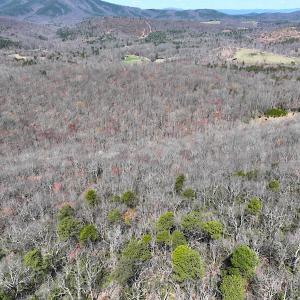 Photo #18 of Off of Blueberry Lane, Stuart, VA 48.1 acres