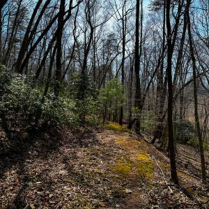Photo #19 of Off of Blueberry Lane, Stuart, VA 48.1 acres