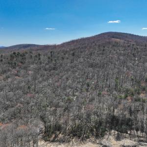 Photo #2 of Off of Blueberry Lane, Stuart, VA 48.1 acres