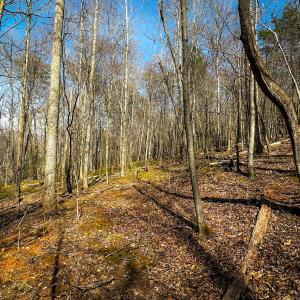 Photo #21 of Off of Blueberry Lane, Stuart, VA 48.1 acres